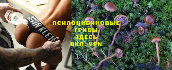 прущая мука Армянск