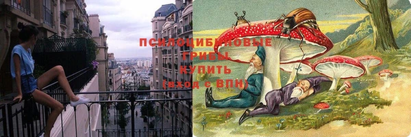 PSILOCYBIN Арсеньев